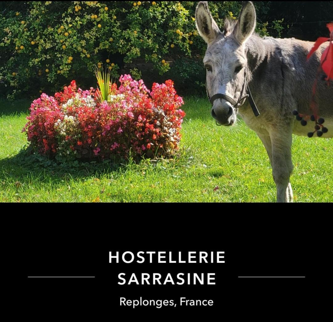 Hostellerie Sarrasine - Macon Est Replonges Exteriör bild